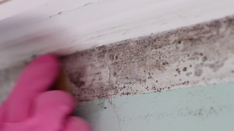 Mold Remediation for Rental Properties in Wyoming, OH